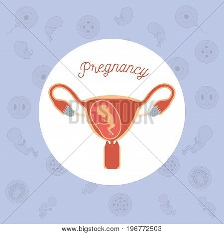 yellow color background pattern pregnancy icons with fetus human growth in placenta trimestrer in female reproductive organ vector illustration