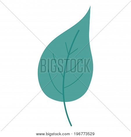 green light color of big aovada leaf plant vector illustration