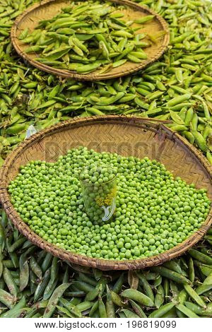 Green peas, Pisum sativum, being sold at traditional local food market.