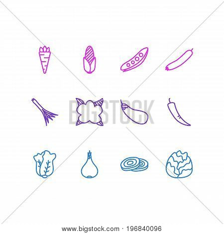 Editable Pack Of Maize, Cole, Root Vegetable And Other Elements.  Vector Illustration Of 12 Food Icons.