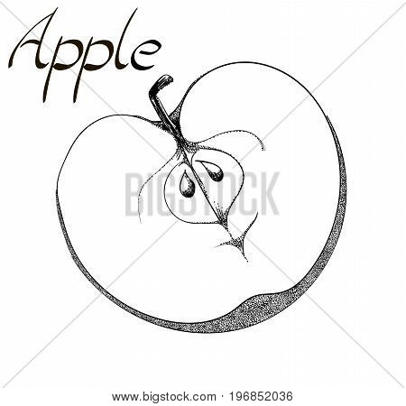 Vector Vegetarian healthy treating hand drawn illustration. Use for bar, cocktail, flyer, banner, store