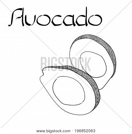 Vector Avocado Vegetarian healthy treating hand drawn illustration. Use for bar, cocktail, flyer, banner, store