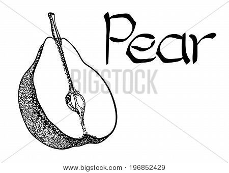 Vector Pear Vegetarian healthy treating hand drawn illustration. Use for bar, cocktail, flyer, banner, store