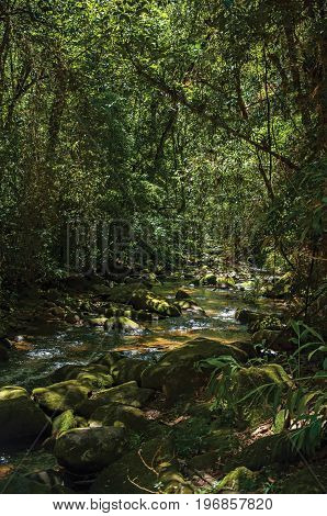 View of creek and rocks in the middle of a forest in Visconde de Mauá, a village in the mountains with cold climate and perfect days for hiking. In the Rio de Janeiro State, southwestern Brazil