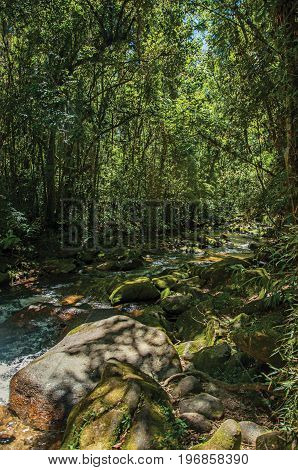 View of creek and rocks in the middle of a forest in Visconde de Mauá, a village in the mountains with cold climate and perfect days for hiking. In the Rio de Janeiro State, southwestern Brazil