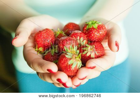 Fresh juicy red strawberry on the palms of a girl