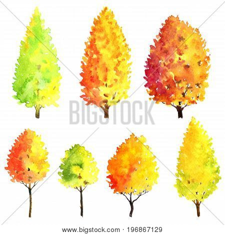 set of autumn trees drawing by watercolor, bushes and decidious, red and yellow foliage, isolated natural elements, hand drawn illustration