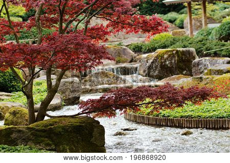 Cascading water in a park in summer