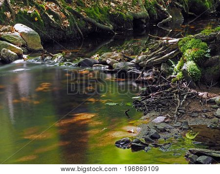 Long Exposure Magic Forest Stream With Moss Stones Grass Leafs And Grass