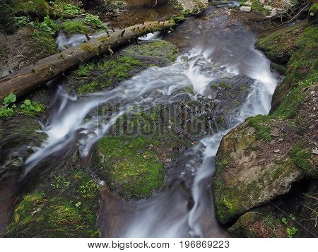 Frozen Water Forest Stream With A Log And Mossed Stones