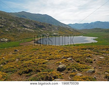 Green Mountain Meadow With Lake Rocks And Blue Sky