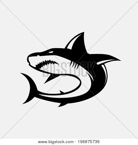 Shark illustration. Shark isolated on background. Vector stock.