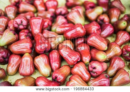 Chompoo Rose Apple Tropical Fruit Natural Backgroun
