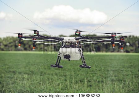 Drones spraying pesticides to grow potatoes. Industrial agriculture and smart farming concept.