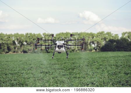 Drones spraying pesticides to grow potatoes. Industrial agriculture and smart farming concept.