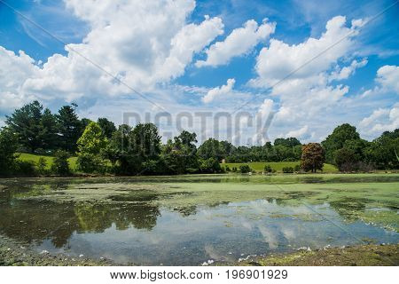 Profound Clouds Atop Beautiful Lake With Trees