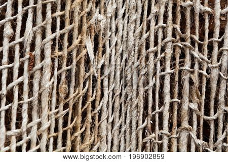 Detail photo of an old mesh (geogrid) for stabilizing slopes and soil.