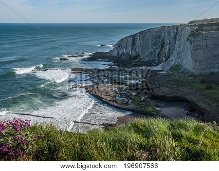 Detail of the coast cliffs in Bizkaia Basque Country