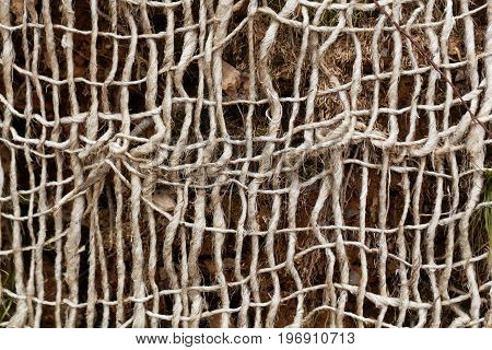 Detail photo of an old mesh (geogrid) for stabilizing slopes and soil.