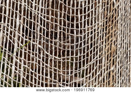 Detail photo of an old mesh (geogrid) for stabilizing slopes and soil.