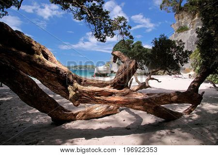 Coast Near The Cathedral Cove