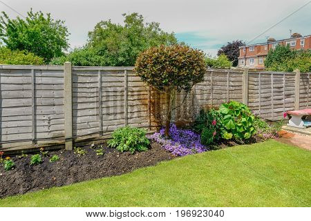 Flower bed in the back-garden with a fence behind the plants. Taken in early summer with grass in the foreground.
