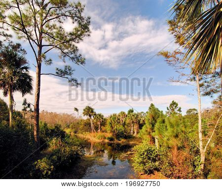Views from the Riverbend Park near Jupiter, Florida