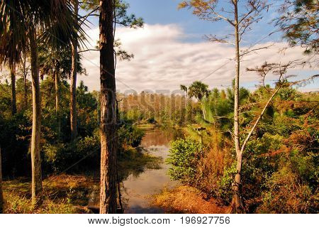 Views from the Riverbend Park near Jupiter, Florida