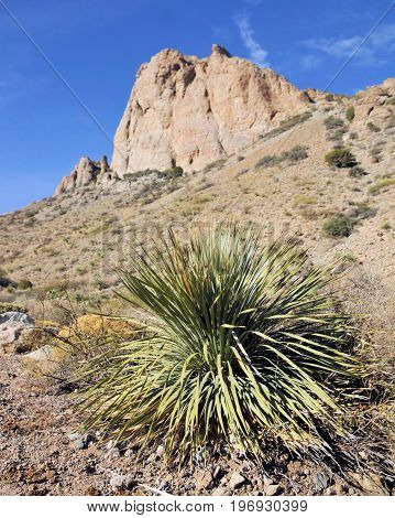 Spring Canyon State Park near Deming, New Mexico