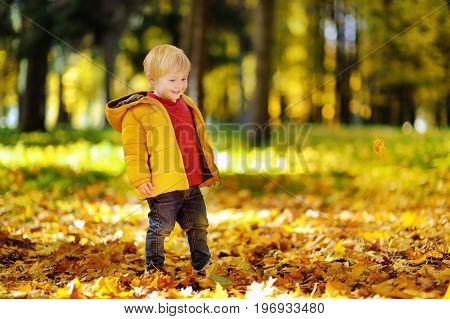 Happy Cute Toddler Boy Having Fun With Autumn Leaves