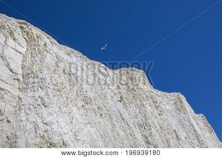 The beautiful chalk cliffs along the coastline in East Sussex in the UK.