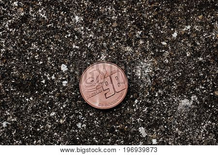 Brass Dogecoin Coin