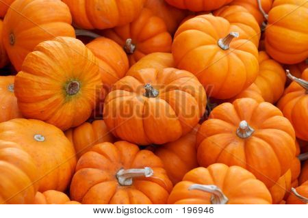 Calabazas