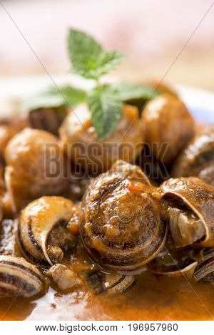closeup of a ceramic bowl with spanish caracoles en salsa, cooked snails in sauce