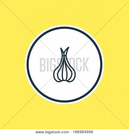 Beautiful Food Element Also Can Be Used As Sativum Element.  Vector Illustration Of Allium Outline.