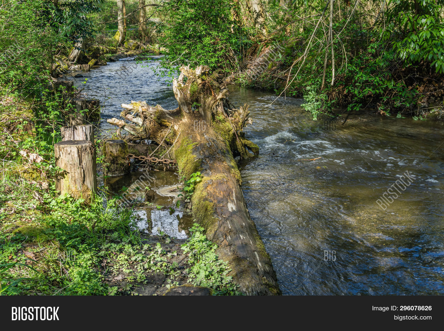 Des Moines Creek Flows Image & Photo (Free Trial) Bigstock