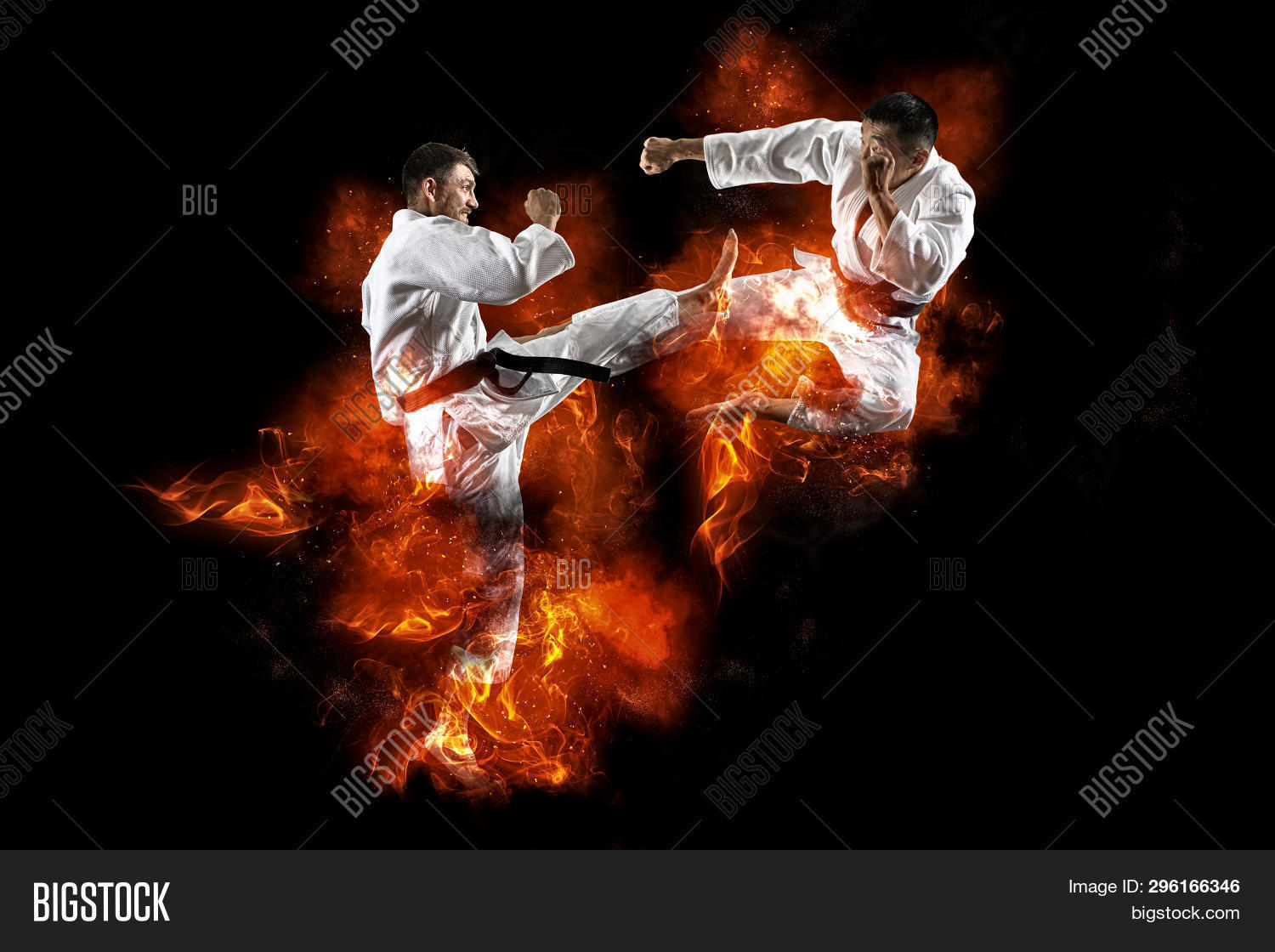 Martial Arts Masters, Image & Photo (Free Trial) Bigstock