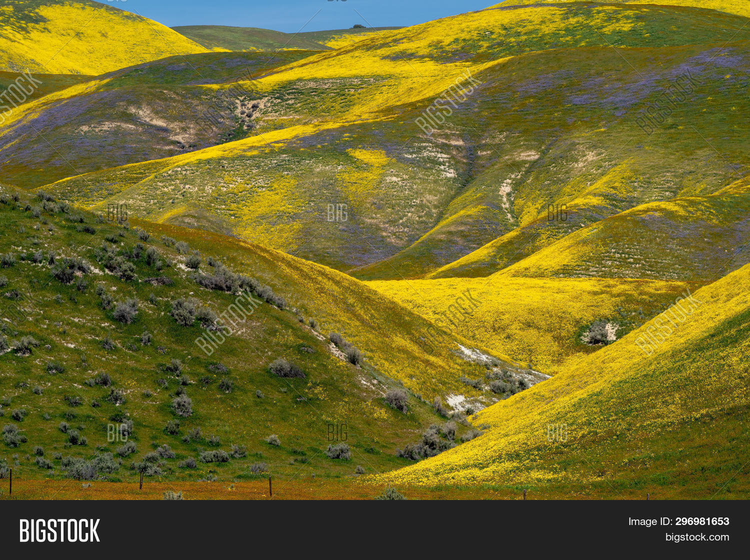 еллоу хилл. желтые холмы. Yellow hill. еллоу хил желтый холм. горы солнце.