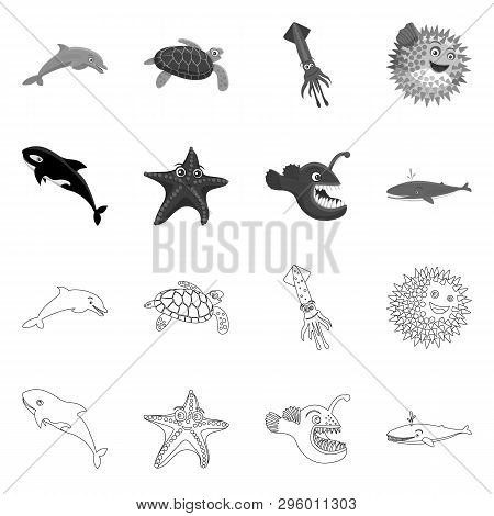 Isolated Object Of Sea And Animal Logo. Collection Of Sea And Marine Vector Icon For Stock.