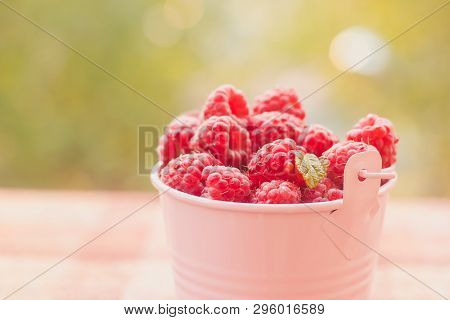 Pink Raspberry Bucket. Sweet Summer Berries. Raspberry Berry. Garden Raspberry Berry.