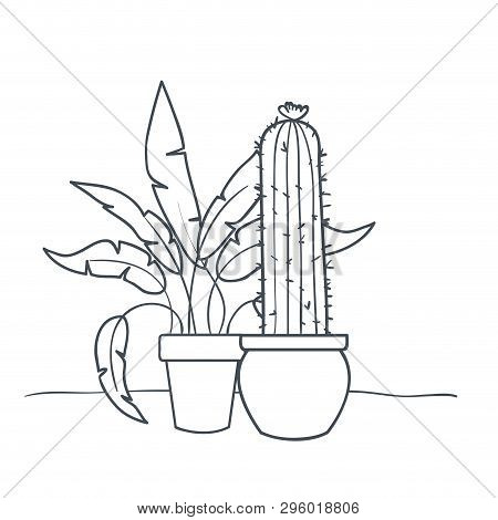 Houseplants With Potted Isolated Icon Vector Illustration Design