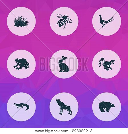 Animal Icons Set With Bear, Hyena, Lemur And Other Alligator Elements. Isolated Vector Illustration 