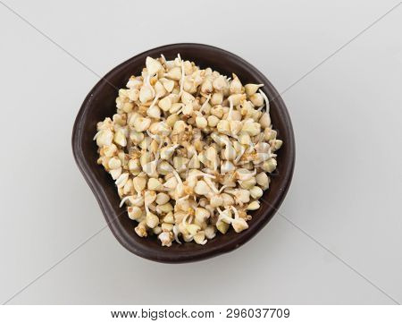 Sprouts of green buckwheat on white background. Macro shot raw organic buckwheat plant. Vegan germinated sprouts, vegetarian cuisine. Healthy diet buckwheat porridge food. 