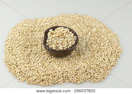 Sprouts of green buckwheat on white background. Macro shot raw organic buckwheat plant. Vegan germinated sprouts, vegetarian cuisine. Healthy diet buckwheat porridge food. 