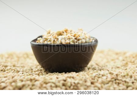 Sprouts of green buckwheat on white background. Macro shot raw organic buckwheat plant. Vegan germinated sprouts, vegetarian cuisine. Healthy diet buckwheat porridge food. 