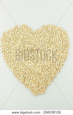 Sprouts of green buckwheat on white background. Macro shot raw organic buckwheat plant. Vegan germinated sprouts, vegetarian cuisine. Healthy diet buckwheat porridge food. 
