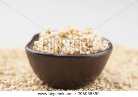 Sprouts of green buckwheat on white background. Macro shot raw organic buckwheat plant. Vegan germinated sprouts, vegetarian cuisine. Healthy diet buckwheat porridge food. 