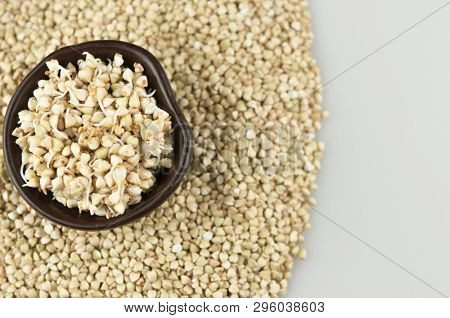 Sprouts of green buckwheat on white background. Macro shot raw organic buckwheat plant. Vegan germinated sprouts, vegetarian cuisine. Healthy diet buckwheat porridge food. 