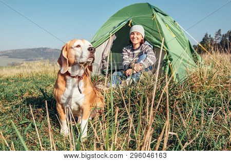 Woman In Her Beagle Dog Meet Morning In Touristic Camping Tent