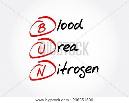 Bun - Blood Urea Nitrogen Acronym, Concept Background